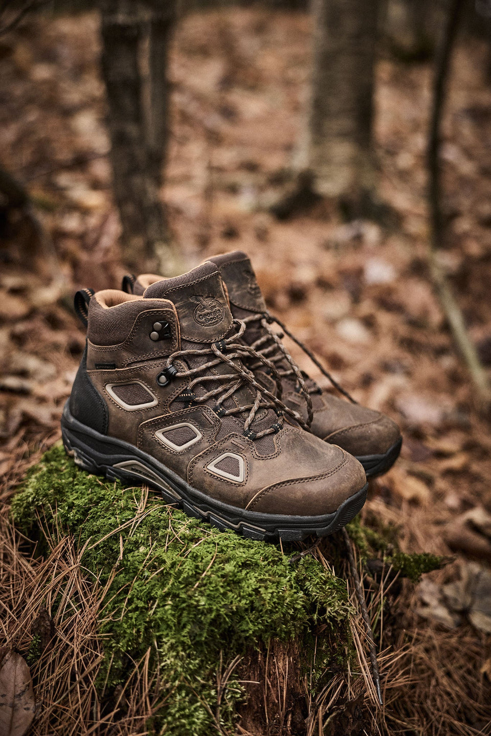A pair of brown mid-cut hiking boots with white accents, resting on a mossy log in a forest setting.